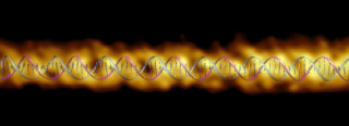 Illustration for article titled New Double Helix Visualization Revises What We Know About DNA
